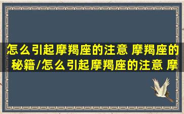 怎么引起摩羯座的注意 摩羯座的秘籍/怎么引起摩羯座的注意 摩羯座的秘籍-我的网站